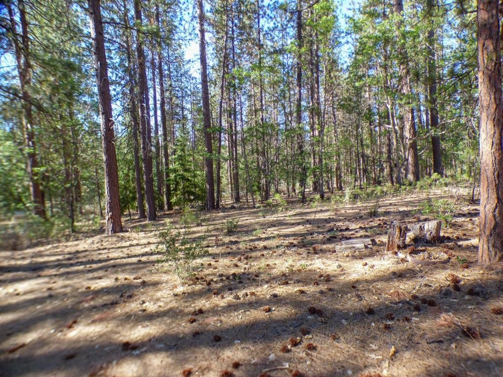 5725 Scott River Road Fort Jones, CA 96032 - Photo 2 of 25 Gallery Image 2
