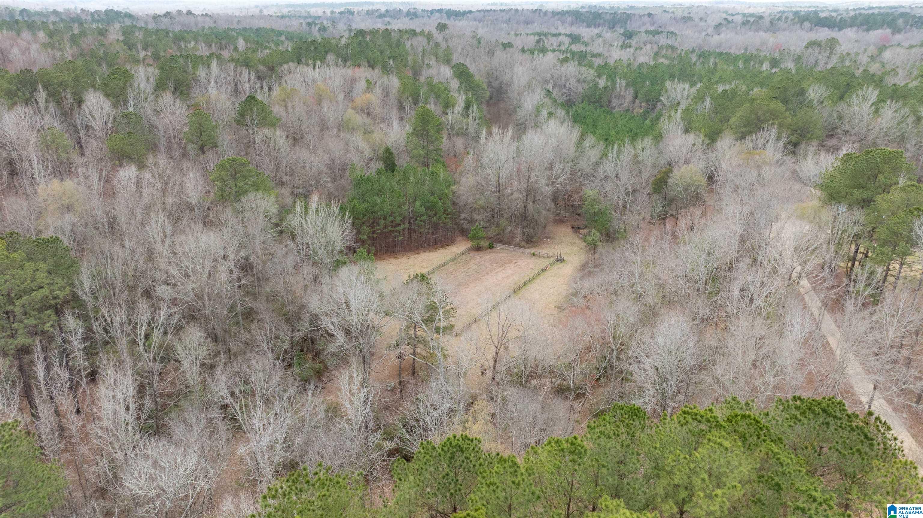 12371 Slayton Road Duncanville, AL 35456 - Photo 72 of 81