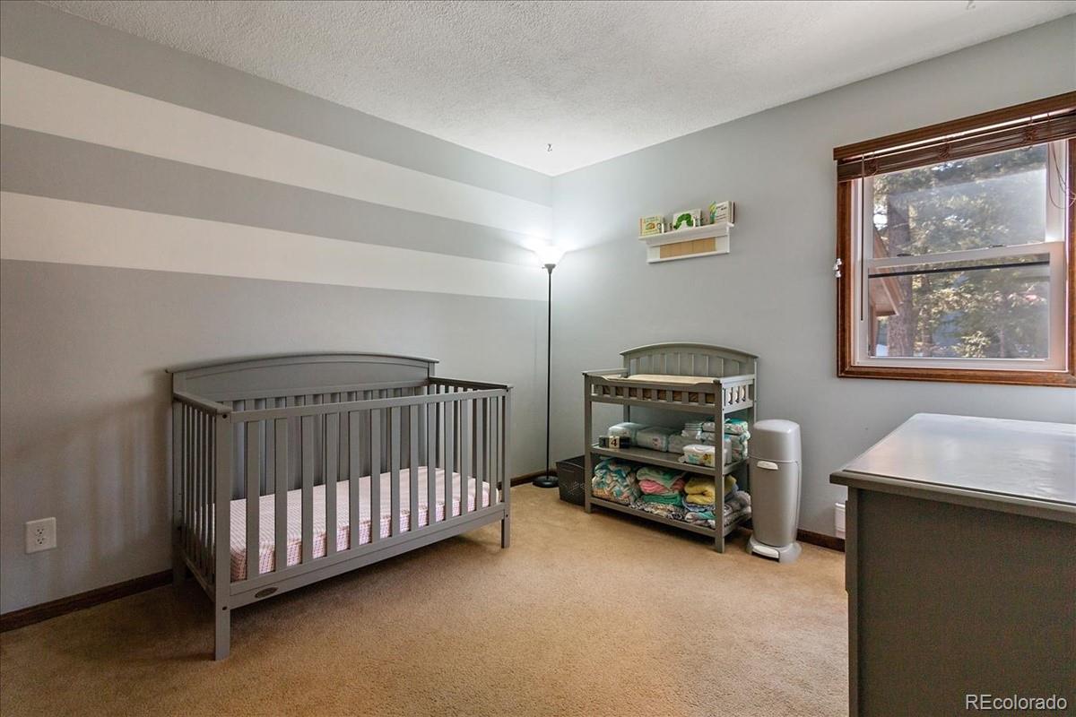32638 Little Cub Road Evergreen, CO 80439 - Photo 19 of 34 Gallery Image 19
