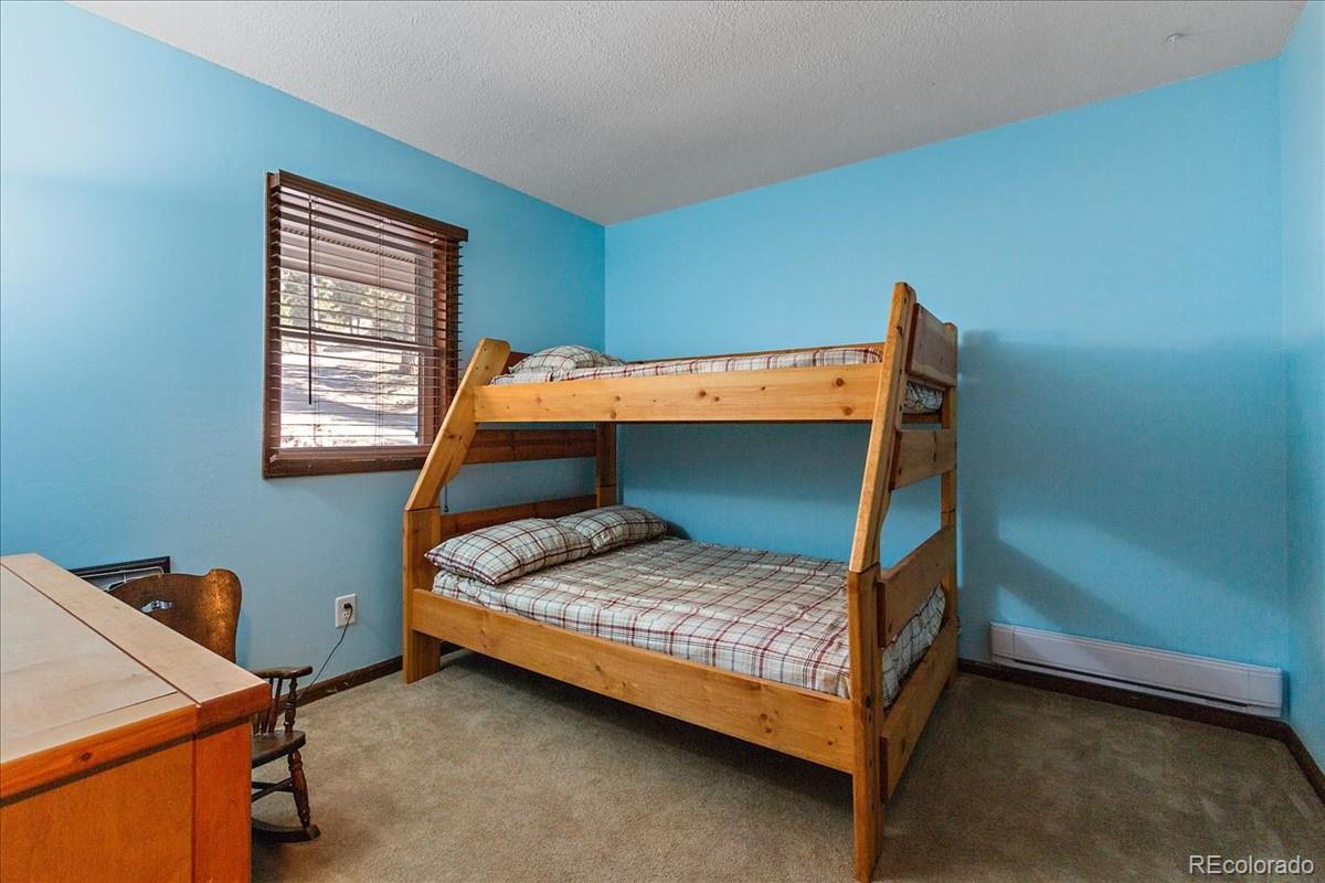 32638 Little Cub Road Evergreen, CO 80439 - Photo 20 of 34 Gallery Image 20