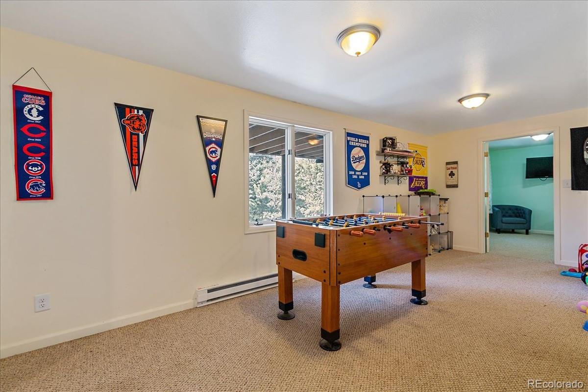 32638 Little Cub Road Evergreen, CO 80439 - Photo 23 of 34 Gallery Image 23