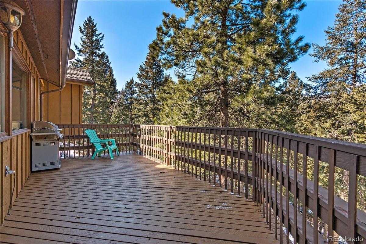 32638 Little Cub Road Evergreen, CO 80439 - Photo 31 of 34 Gallery Image 31