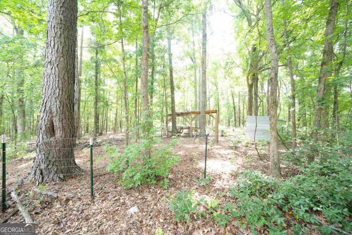 4275 Water Works Road Sparta, GA 31087 - Photo 44 of 55