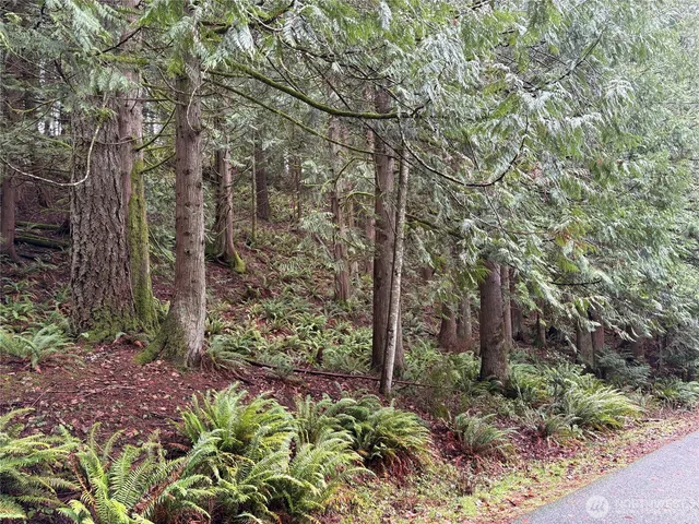 $25,000 | 52 High Cliff Lane, Bellingham, WA 98229