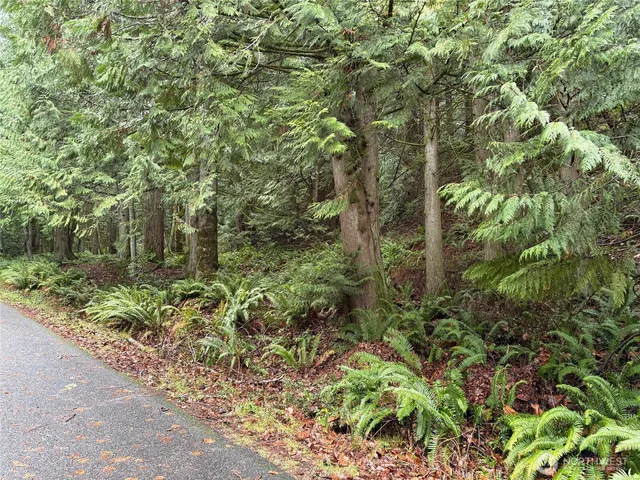 $25,000 | 52 High Cliff Lane, Bellingham, WA 98229