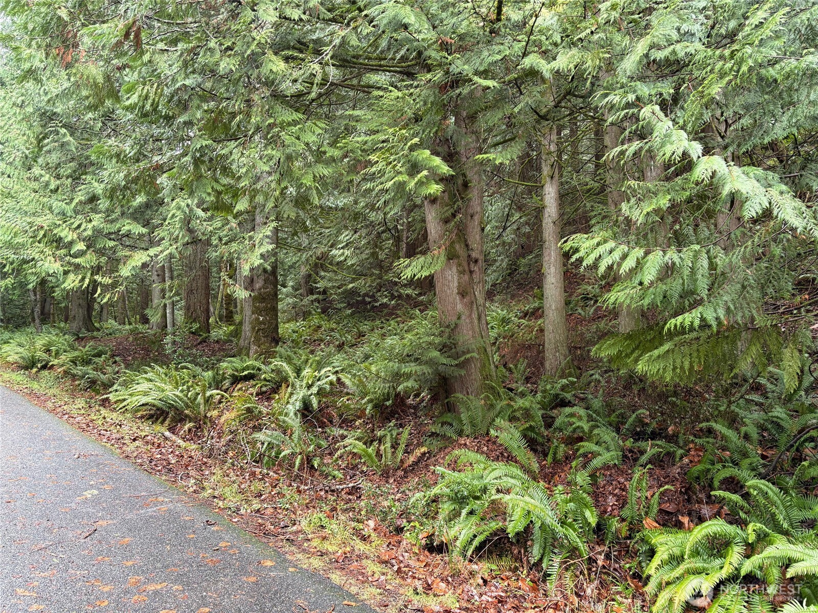 52 High Cliff Lane Bellingham, WA 98229 - Photo 3 of 4