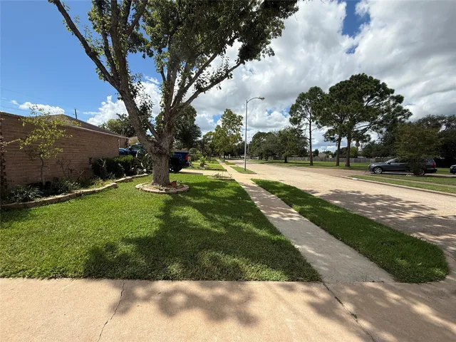 a view of a yard with plants and large trees