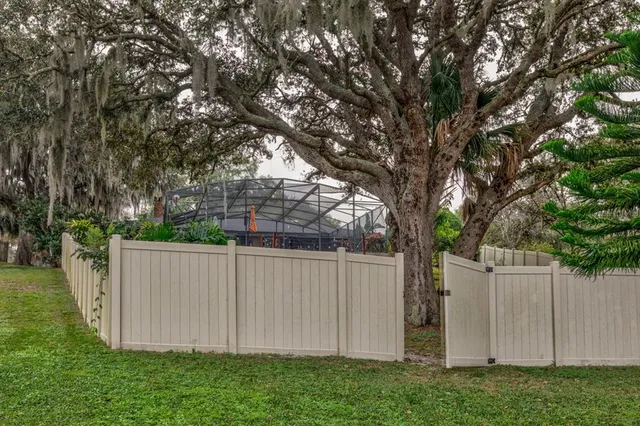 a view of backyard with large trees and wooden fence