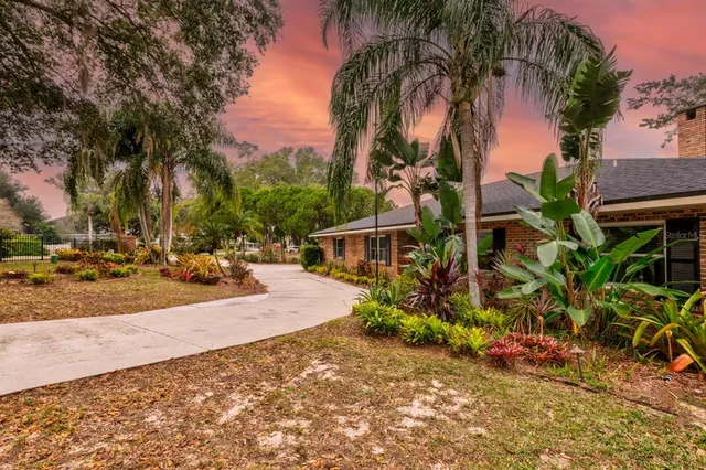 a view of road with palm trees
