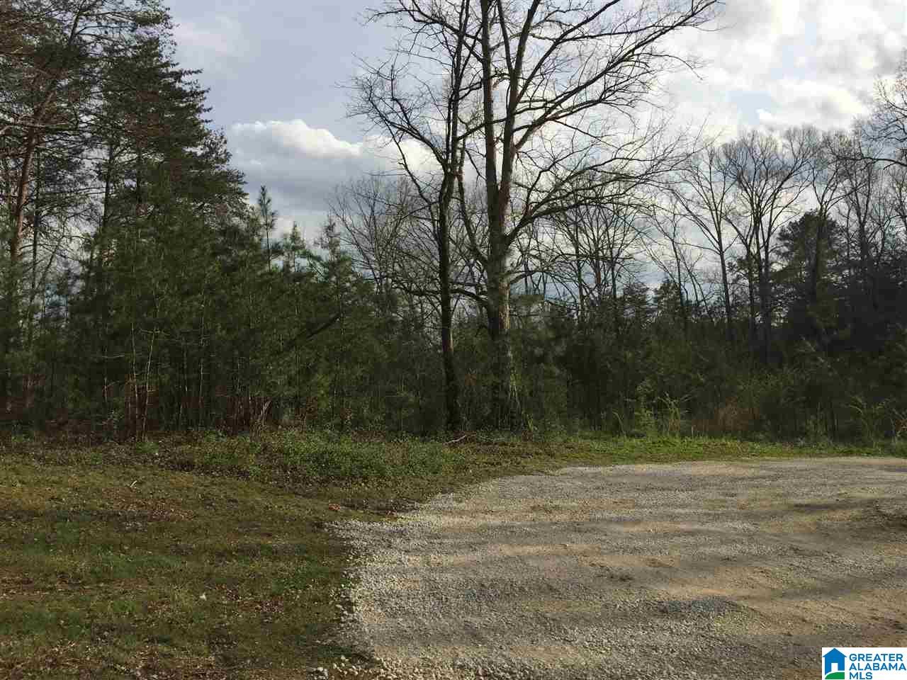 7143 G B Kennedy Road Morris, AL 35116 - Photo 19 of 22