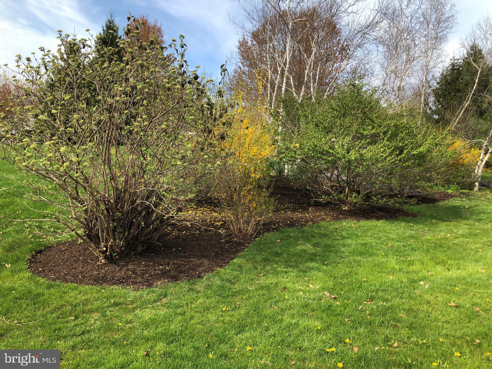 10 7 Springs Road Lebanon, NJ 08833 - Photo 44 of 46 Gallery Image 44