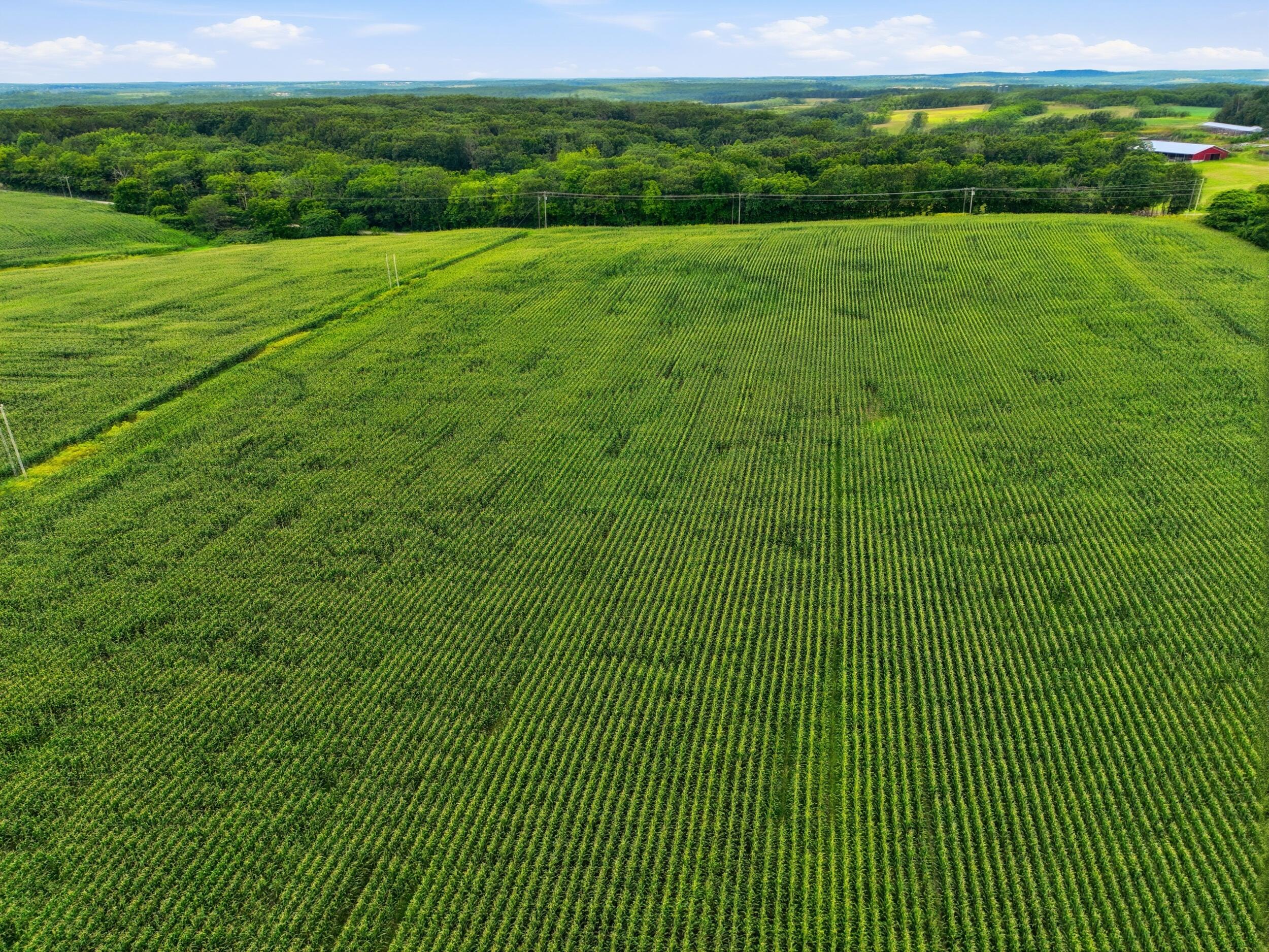 0 Gravel Point Road, Unit 2 Mountain Grove, MO 65711 - Photo 9 of 30 dji_0081