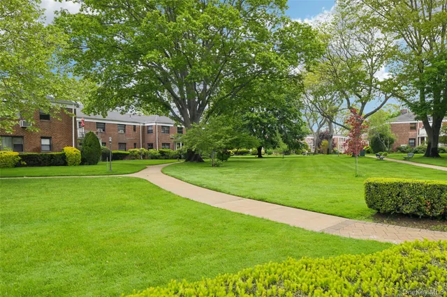 a view of a park with large trees