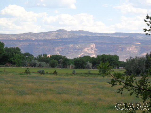 1740 North 3/10 Road Fruita, CO 81521 - Photo 4 of 20 a view of outdoor space and mountain view