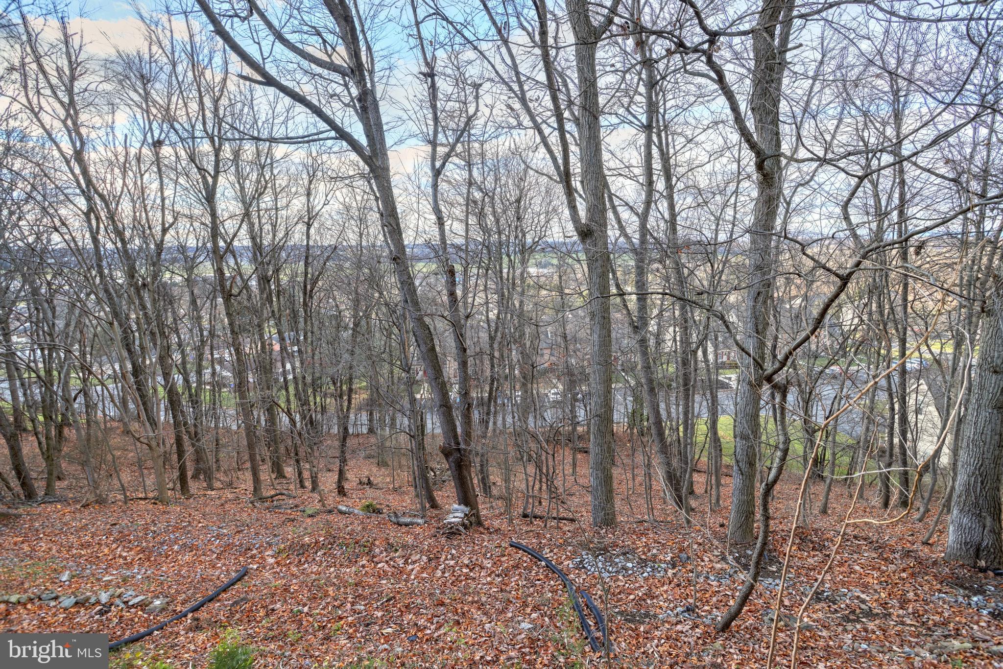 170 Greenleaf Road York, PA 17406 - Photo 34 of 38 Rear view