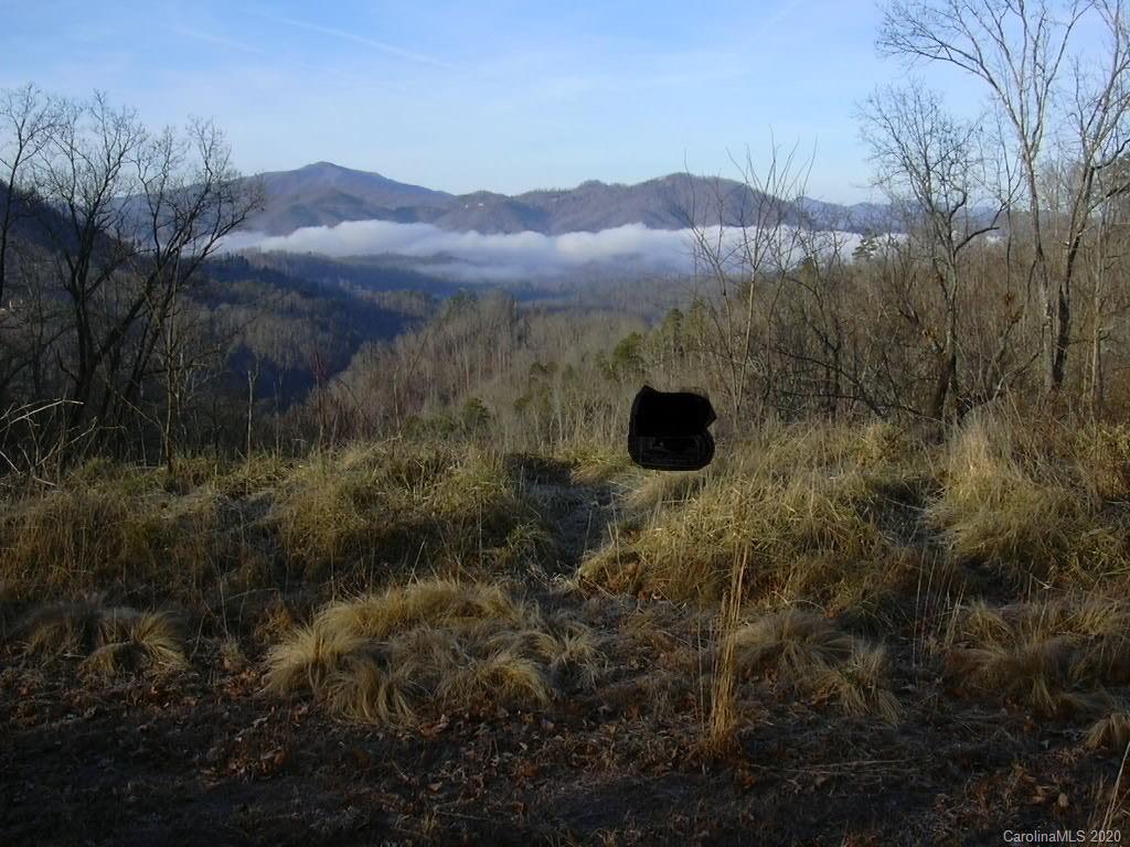 Lot #10 Ridge Place Bryson City, NC 28713 - Photo 1 of 17 Gallery Image 1