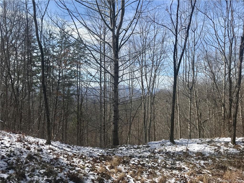 Lot #10 Ridge Place Bryson City, NC 28713 - Photo 3 of 17 Gallery Image 3