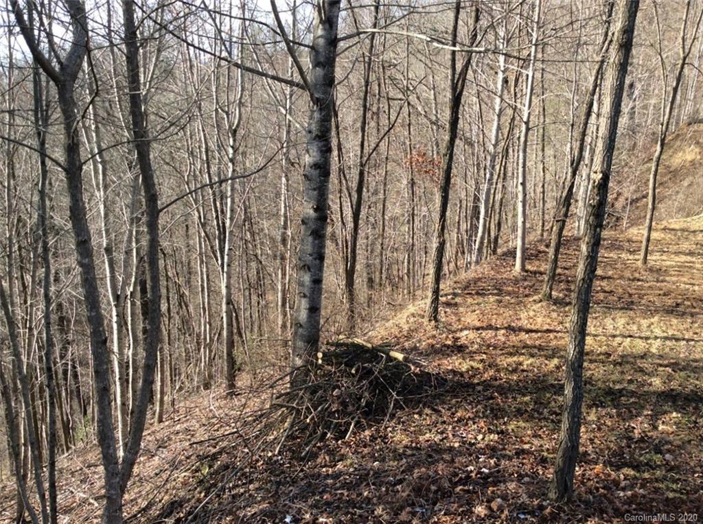 Lot #10 Ridge Place Bryson City, NC 28713 - Photo 5 of 17 Gallery Image 5