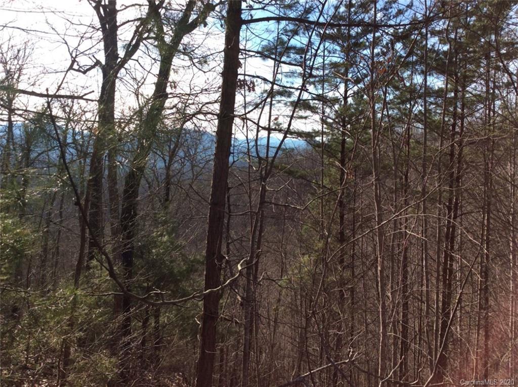 Lot #10 Ridge Place Bryson City, NC 28713 - Photo 6 of 17 Gallery Image 6