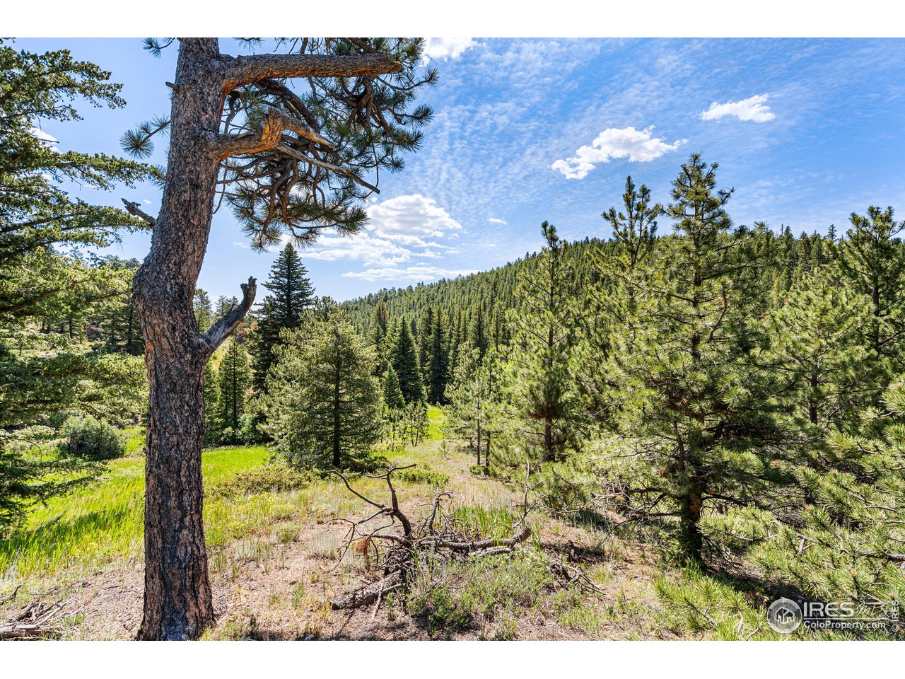 1213 Primos Road Boulder, CO 80302 - Photo 25 of 37