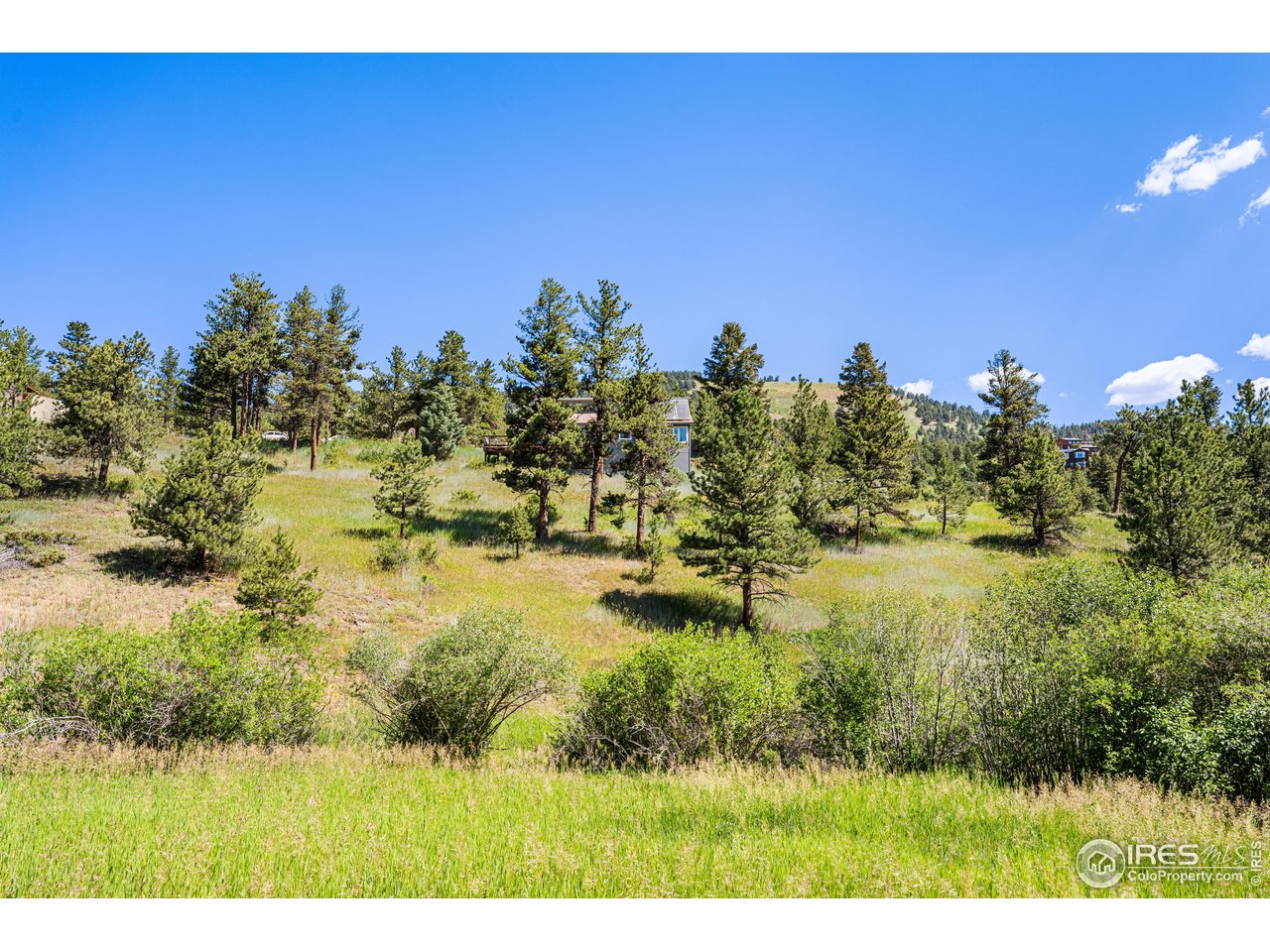 1213 Primos Road Boulder, CO 80302 - Photo 5 of 37