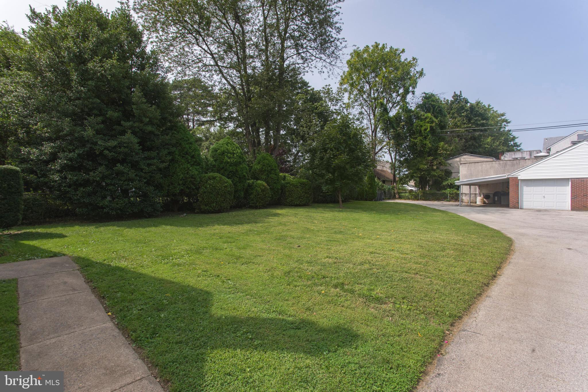 Rear Yard