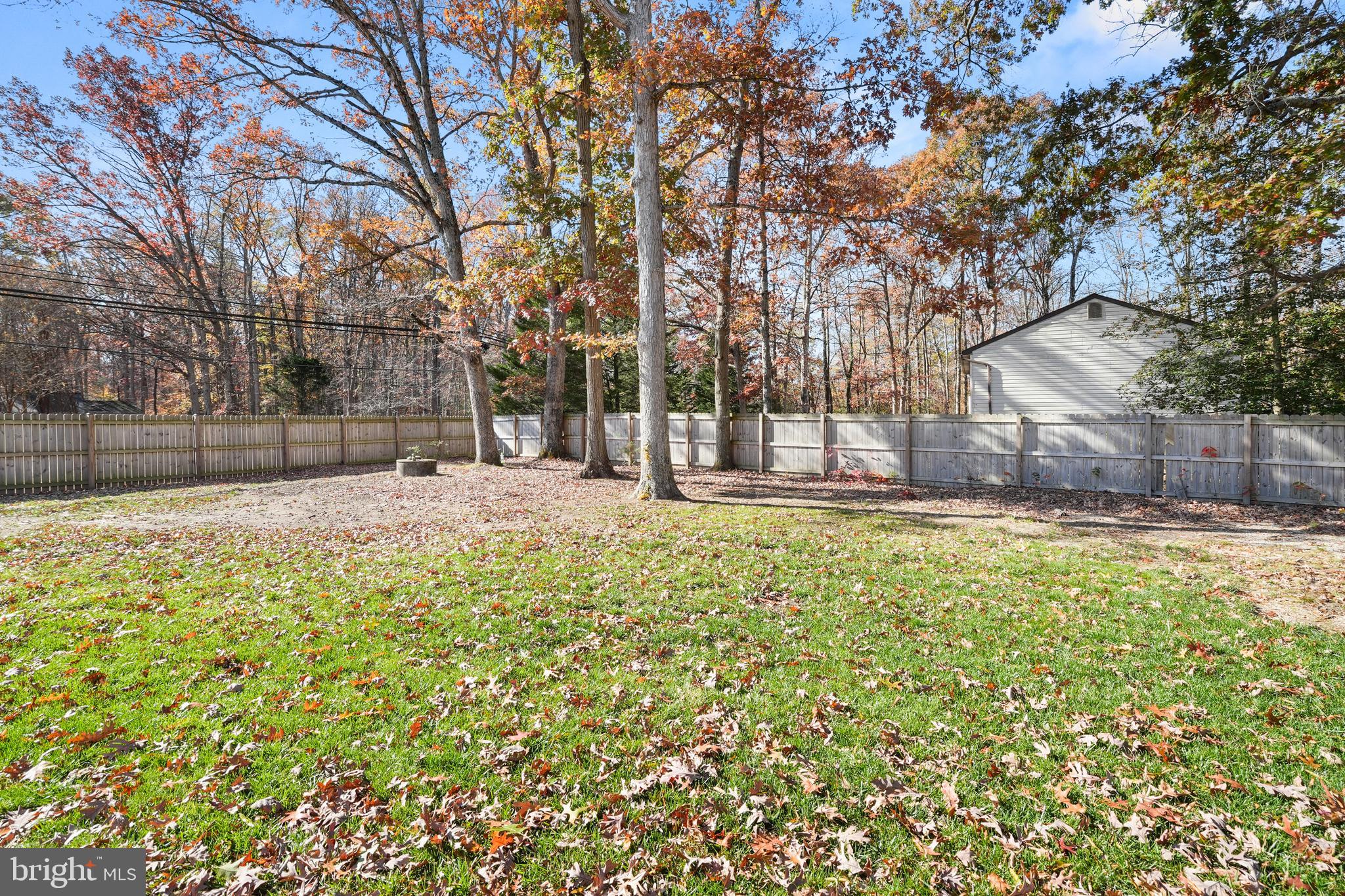 15709 Maple Drive Accokeek, MD 20607 - Photo 6 of 48 a view of a yard with a tree