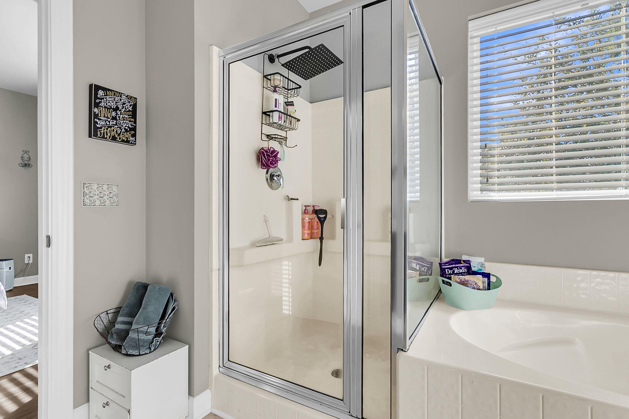 113 Red Leaf Boulevard Moncks Corner, SC 29461 - Photo 40 of 64 CREM - 113 Red Leaf-42