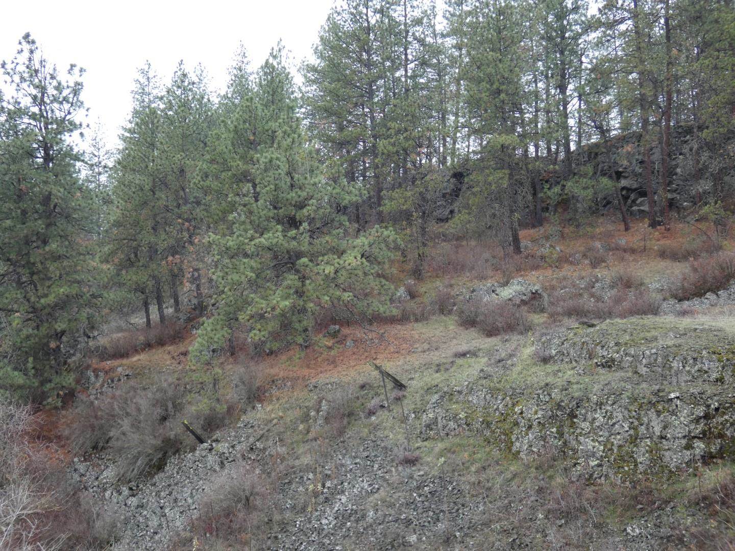 0 Fish Lake Trail Cheney, WA 99004 - Photo 2 of 7 Gallery Image 2
