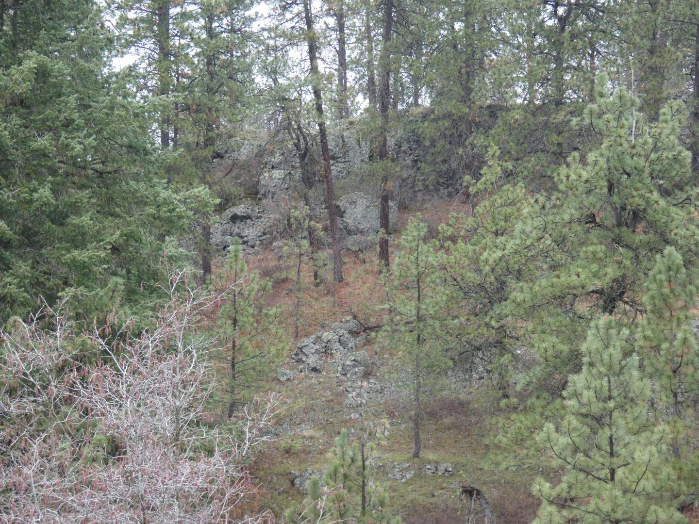 0 Fish Lake Trail Cheney, WA 99004 - Photo 3 of 7 Gallery Image 3