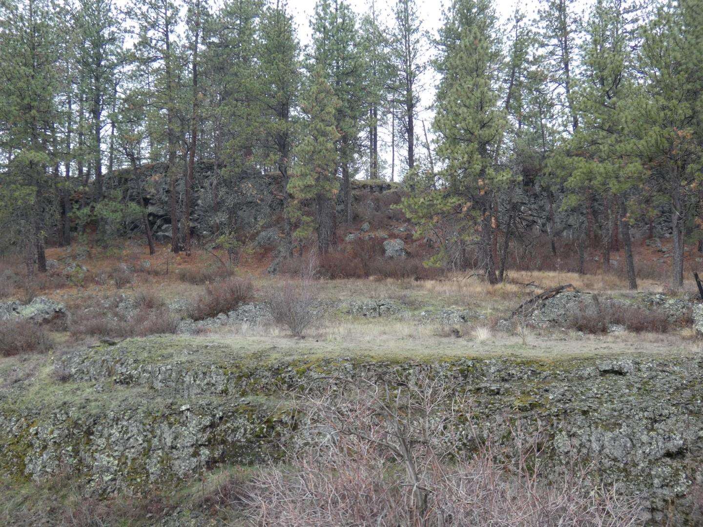 0 Fish Lake Trail Cheney, WA 99004 - Photo 5 of 7 Gallery Image 5