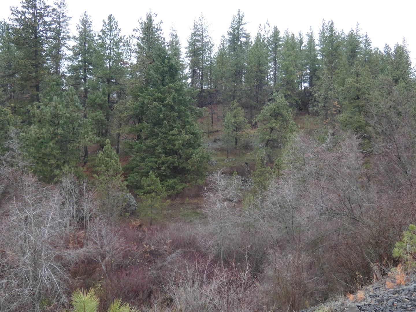 0 Fish Lake Trail Cheney, WA 99004 - Photo 6 of 7 Gallery Image 6