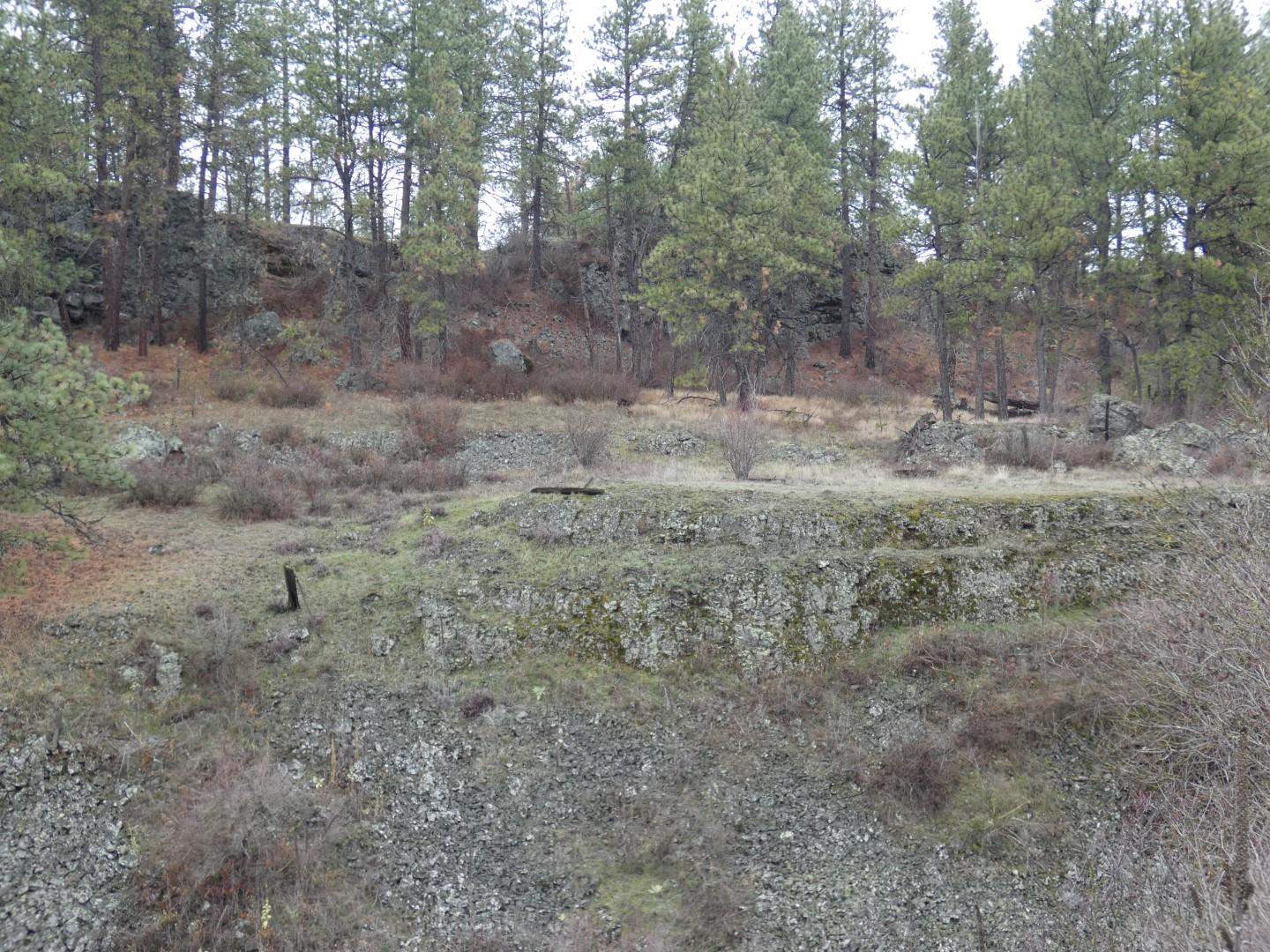 0 Fish Lake Trail Cheney, WA 99004 - Photo 7 of 7 Gallery Image 7