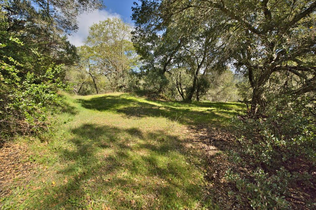 15805 Uvas Road Morgan Hill, CA 95037 - Photo 18 of 41 a view of a yard with a tree