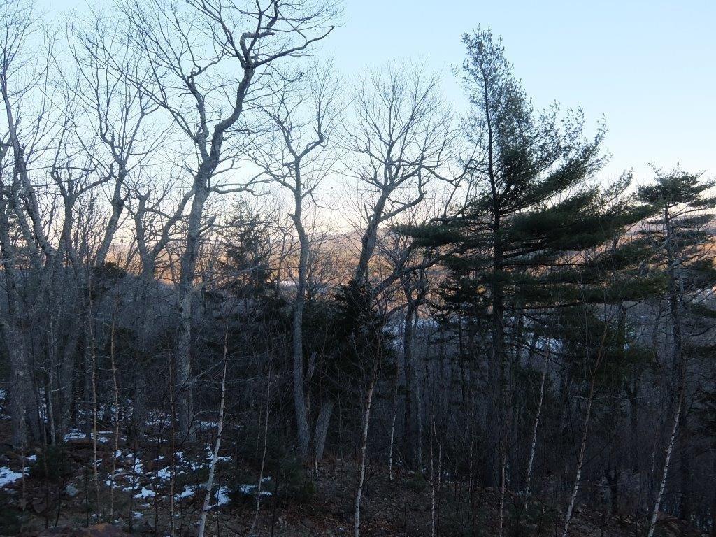 0 Hatchet Mountain Road Hope, ME 04847 - Photo 8 of 31