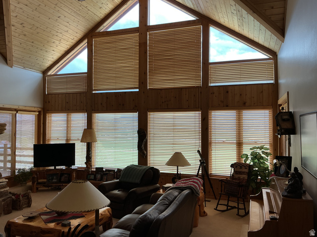 550 State Line Road Manila, UT 84046 - Photo 7 of 41 Vaulted wood-paneled ceiling with exposed beams