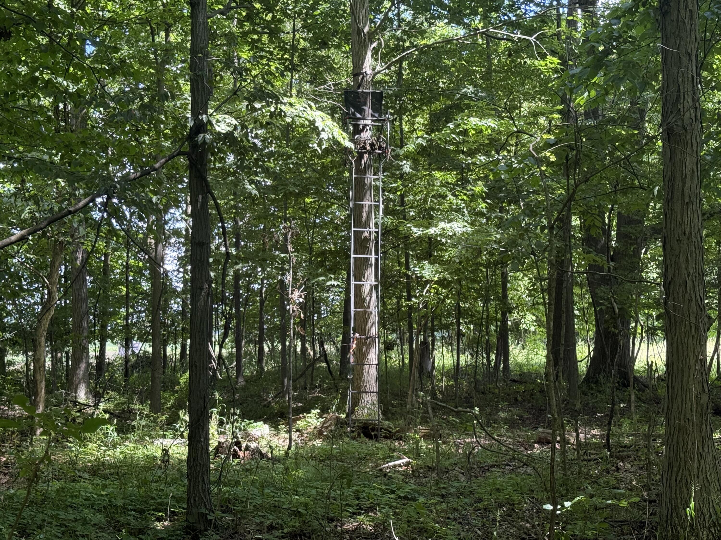 Vl Tamarack Road Pittsford, MI 49271 - Photo 22 of 24 H15
