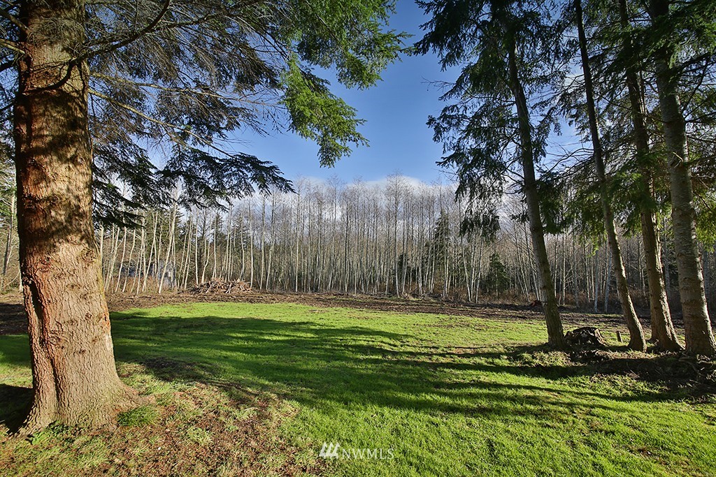 3275 Day Road Greenbank, WA 98253 - Photo 7 of 25 Gallery Image 7