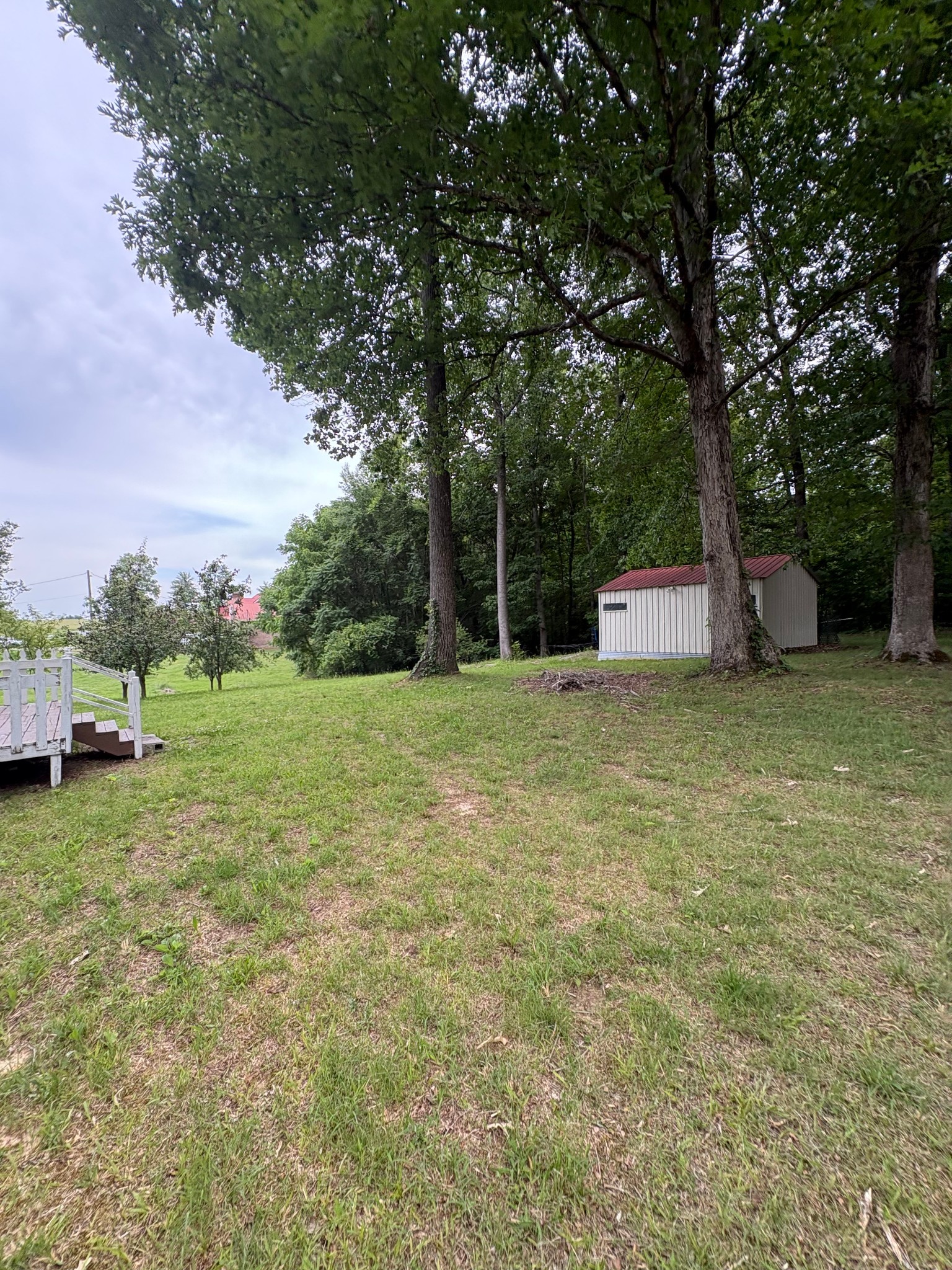 2174 Pleasant Hill Road Lynchburg, TN 37352 - Photo 14 of 16 a view of a backyard with large trees