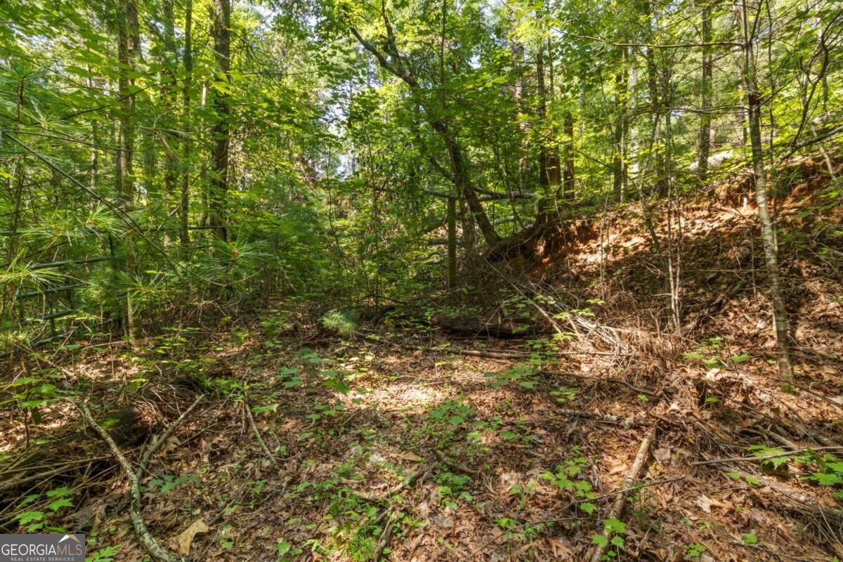 2 A Stevens Ridge Road Ellijay, GA 30540 - Photo 12 of 34 Gallery Image 12