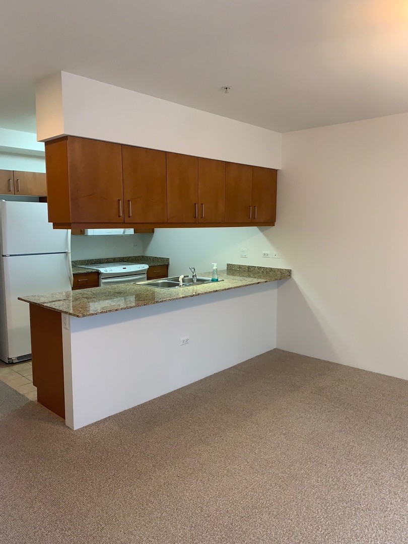 1720 Oak Avenue, Unit 405 Evanston, IL 60201 - Photo 5 of 11