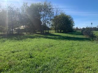 1026 Hartline Road Trenton, GA 30752 - Photo 11 of 12 1026 Hartline Road - Land 1