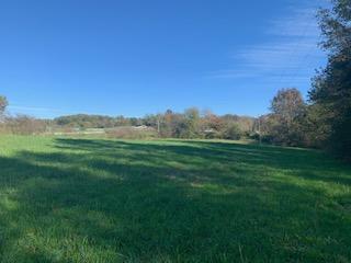 1026 Hartline Road Trenton, GA 30752 - Photo 12 of 12 1026 Hartline Road - Land 2