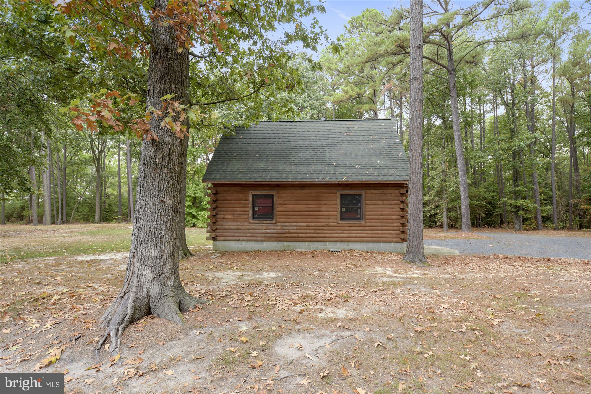 775 Cooks Point Road Cambridge, MD 21613 - Photo 12 of 67 Side view