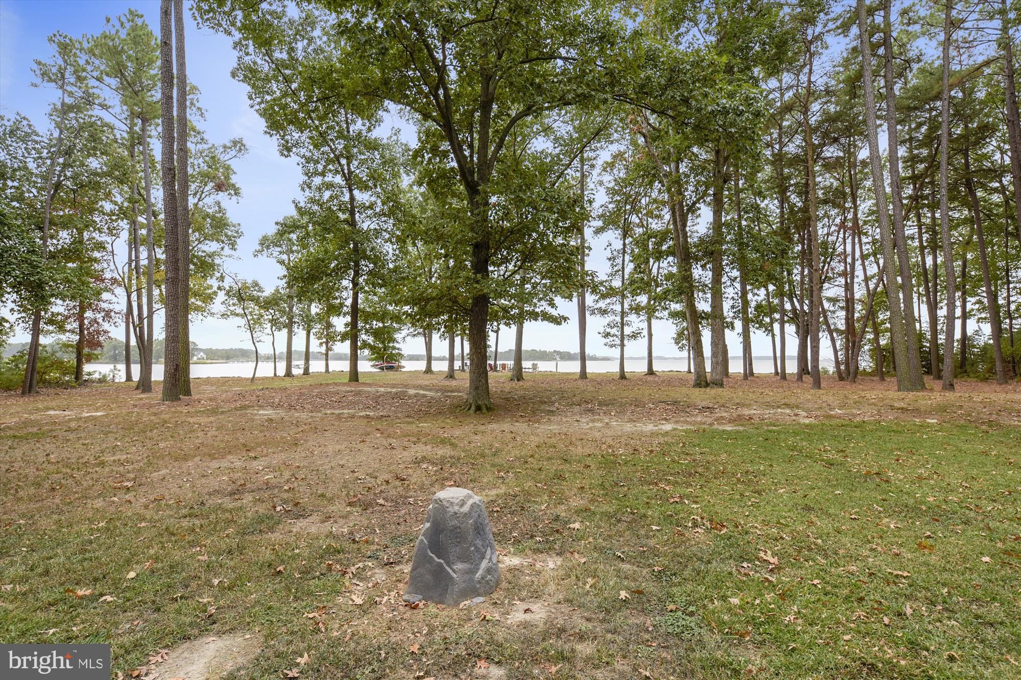 775 Cooks Point Road Cambridge, MD 21613 - Photo 13 of 67 Rear yard
