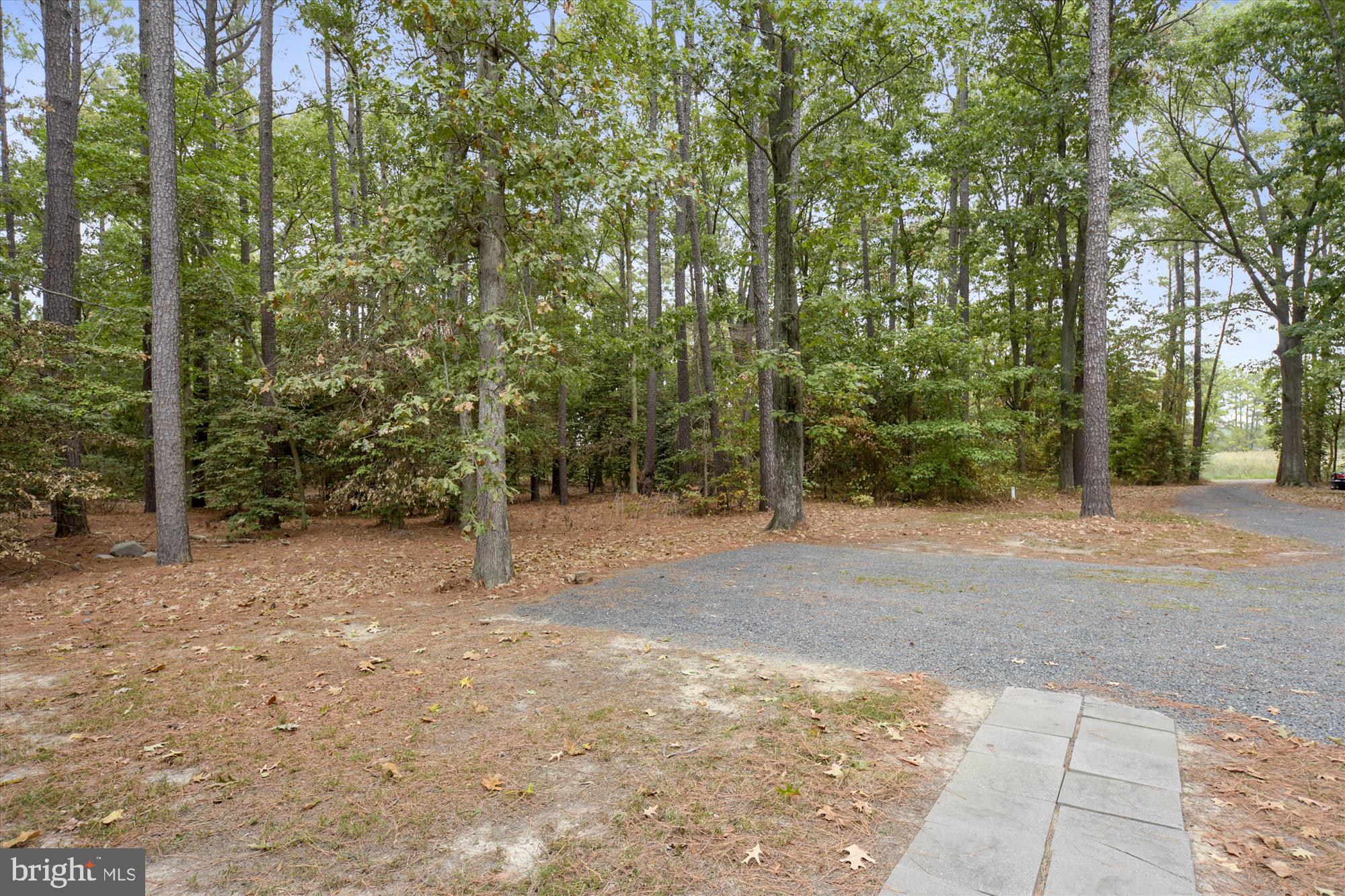 775 Cooks Point Road Cambridge, MD 21613 - Photo 14 of 67 Front yard