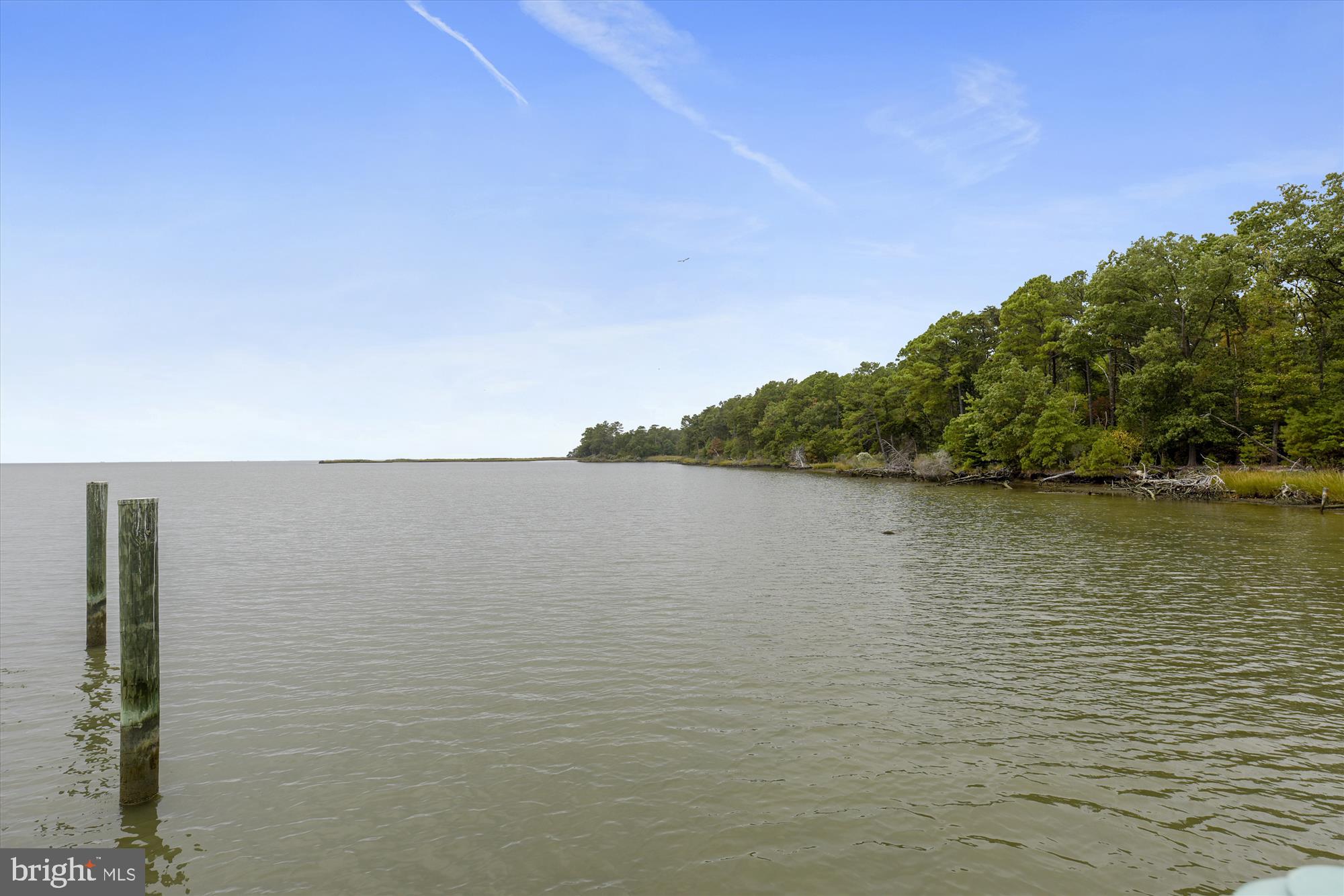 775 Cooks Point Road Cambridge, MD 21613 - Photo 19 of 67 Dock
