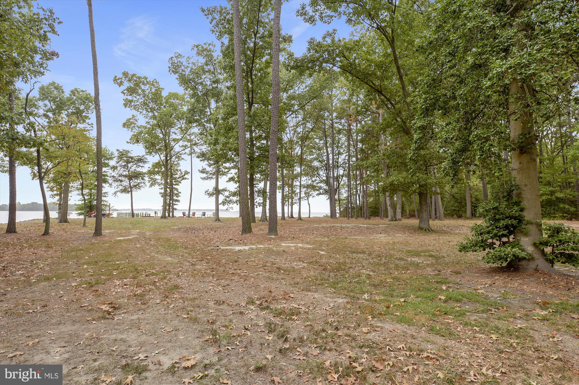 775 Cooks Point Road Cambridge, MD 21613 - Photo 5 of 67 Backyard