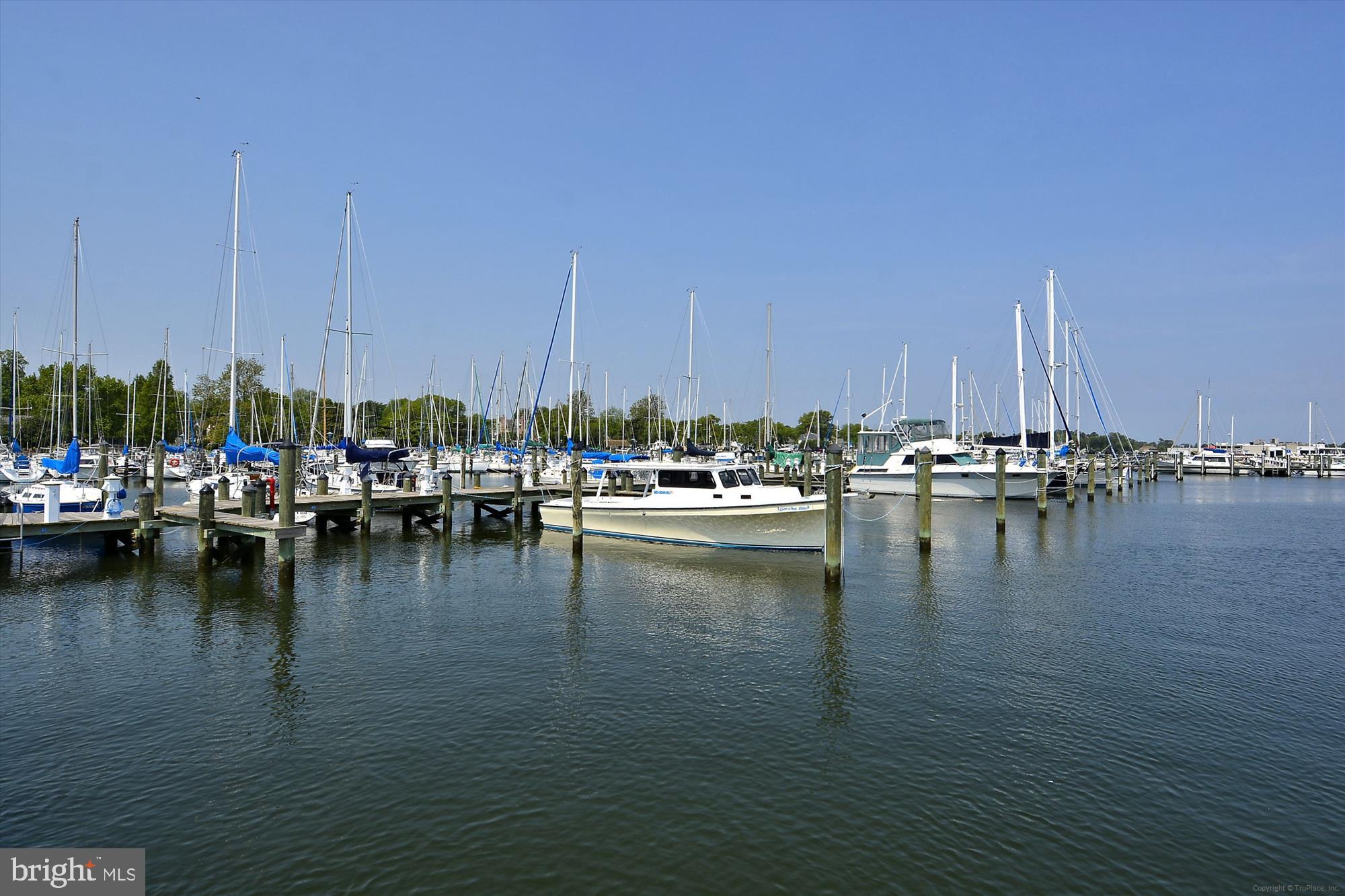 775 Cooks Point Road Cambridge, MD 21613 - Photo 62 of 67 Cambridge docking