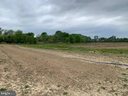 a view of a field with trees in background